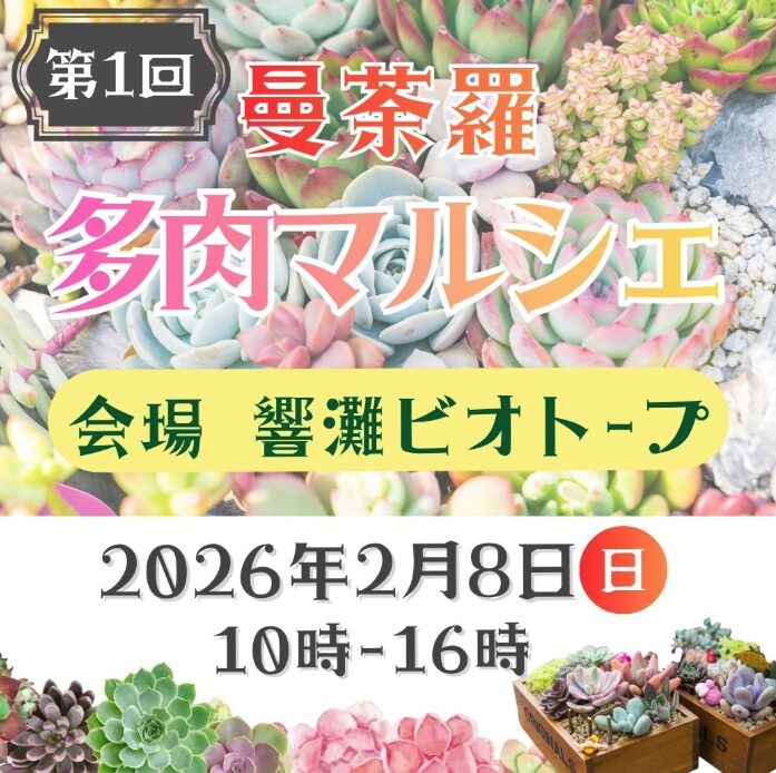 響灘ビオトープ開催の曼荼羅多肉マルシェ