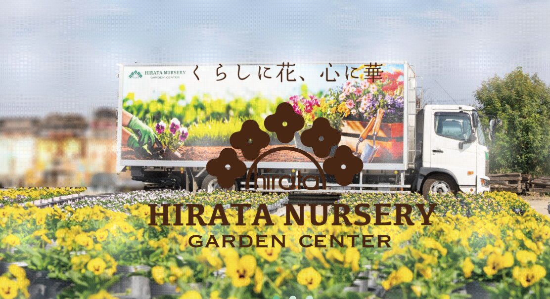 DOLCE'Sも参加する福岡蘭展