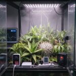 植物育成のSwitchBot危険性検証！火事や事故を防ぐには