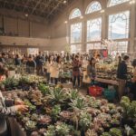 2026年北海道の多肉植物イベント最新日程と攻略ガイド