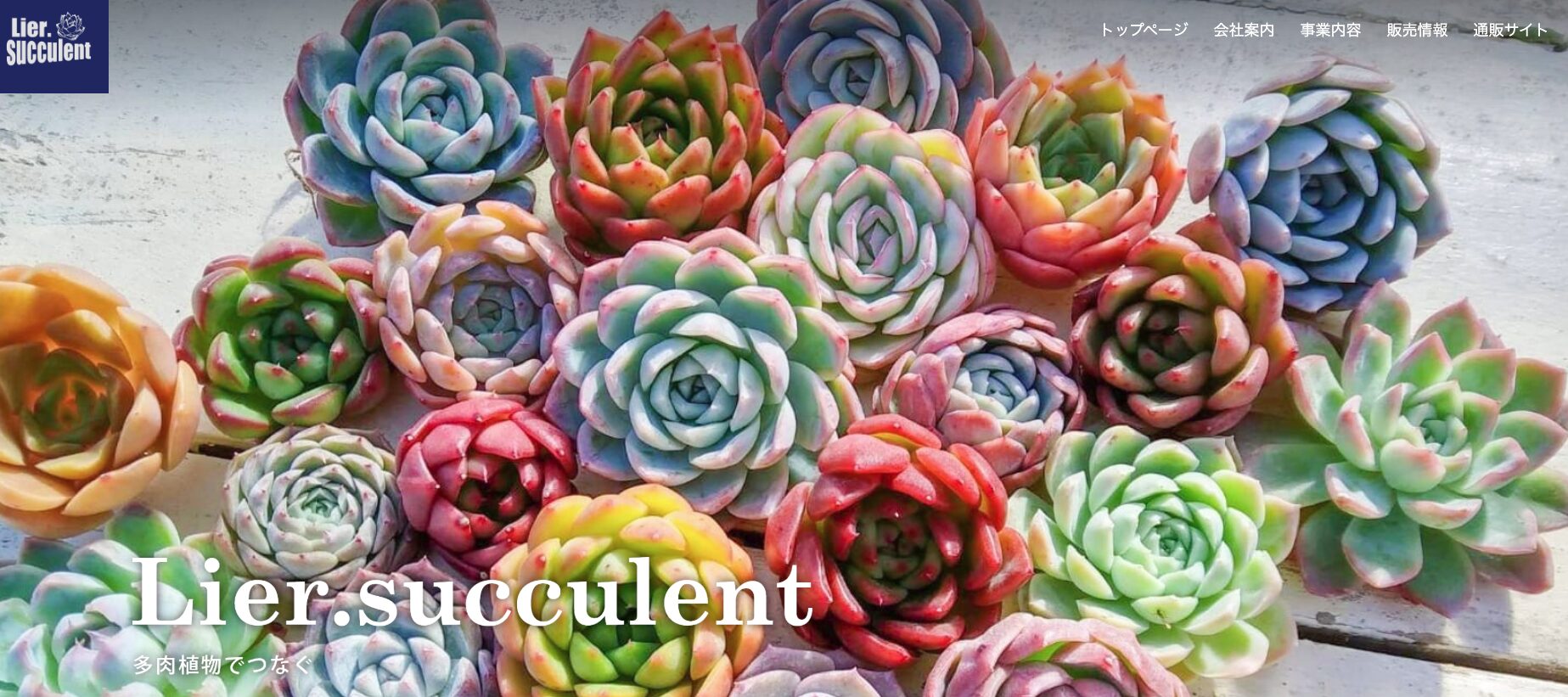 リエールなど全国ツアーの北海道開催予測