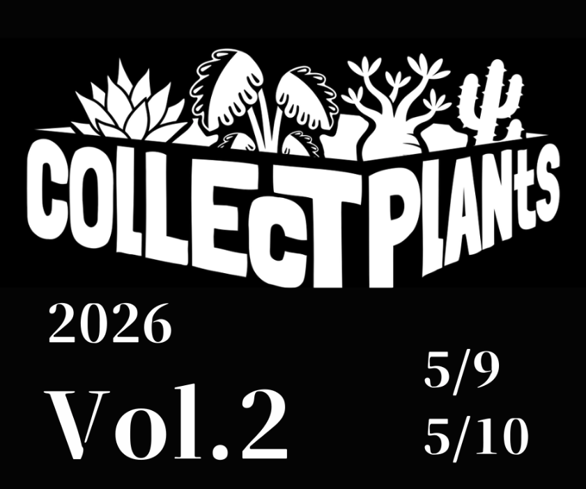 熊本で開催されるコレプラの出展者や日程