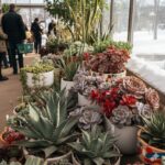 【2026最新】東北の多肉植物イベント日程＆攻略！アガベやフェス情報