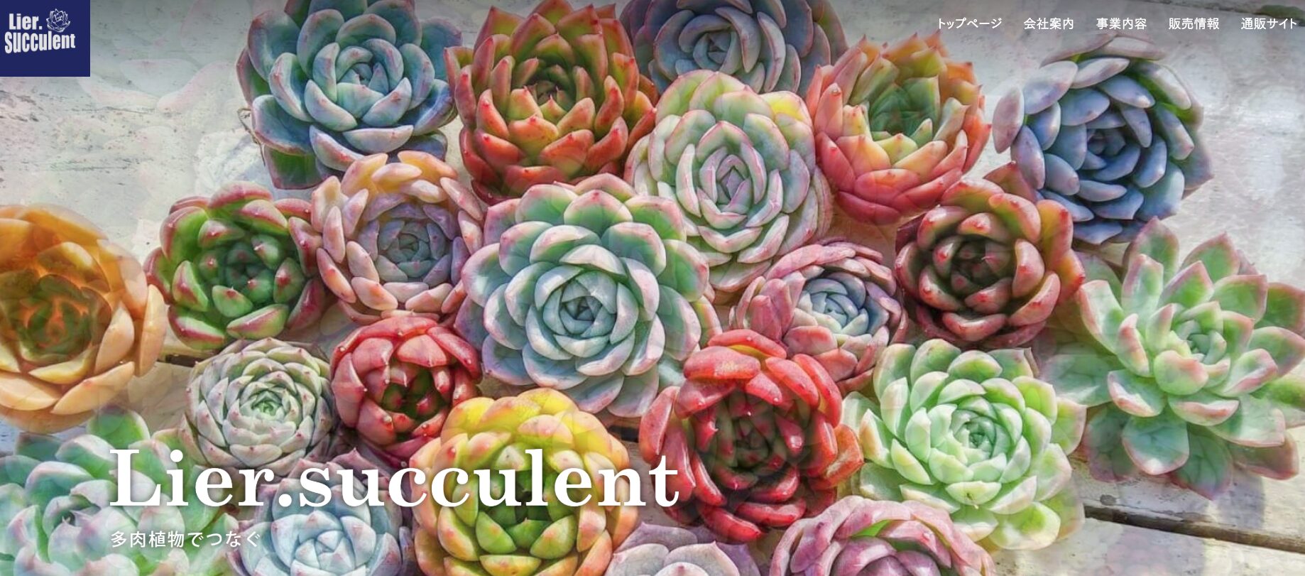 リエールサキュレントなど人気生産者の出店